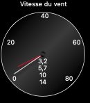 Wind speed gauge